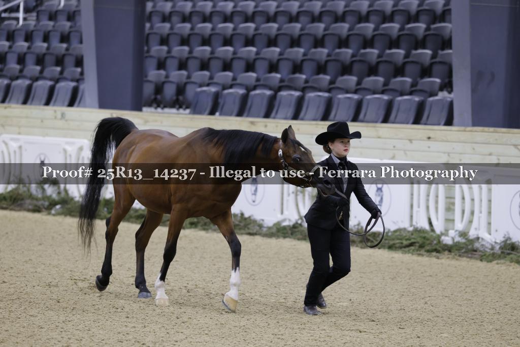 Proof 25R13_14237