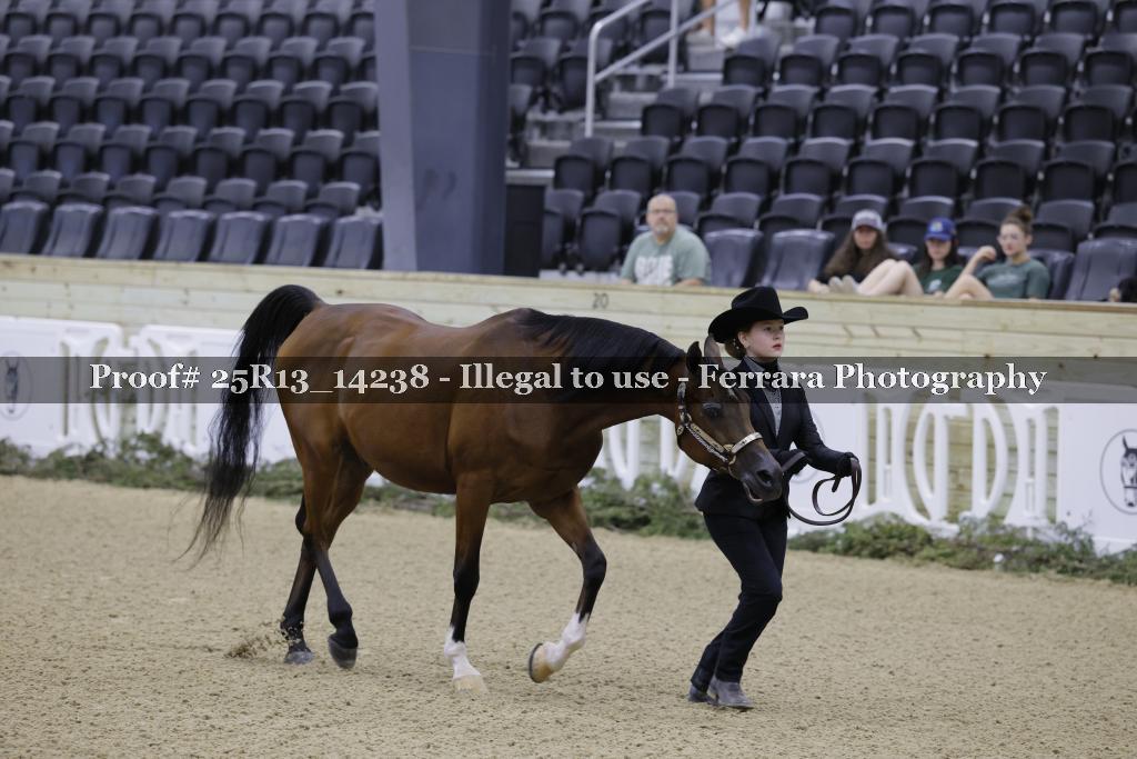 Proof 25R13_14238