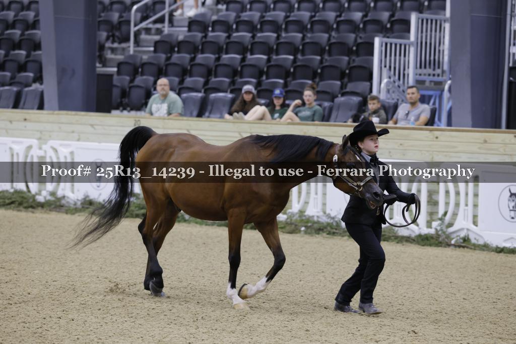 Proof 25R13_14239