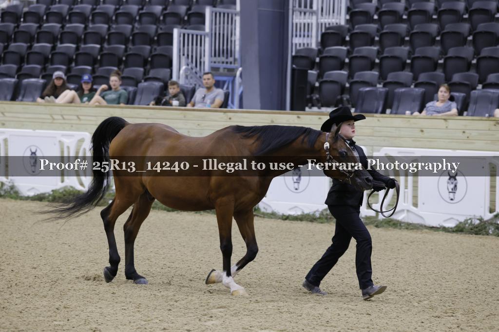Proof 25R13_14240