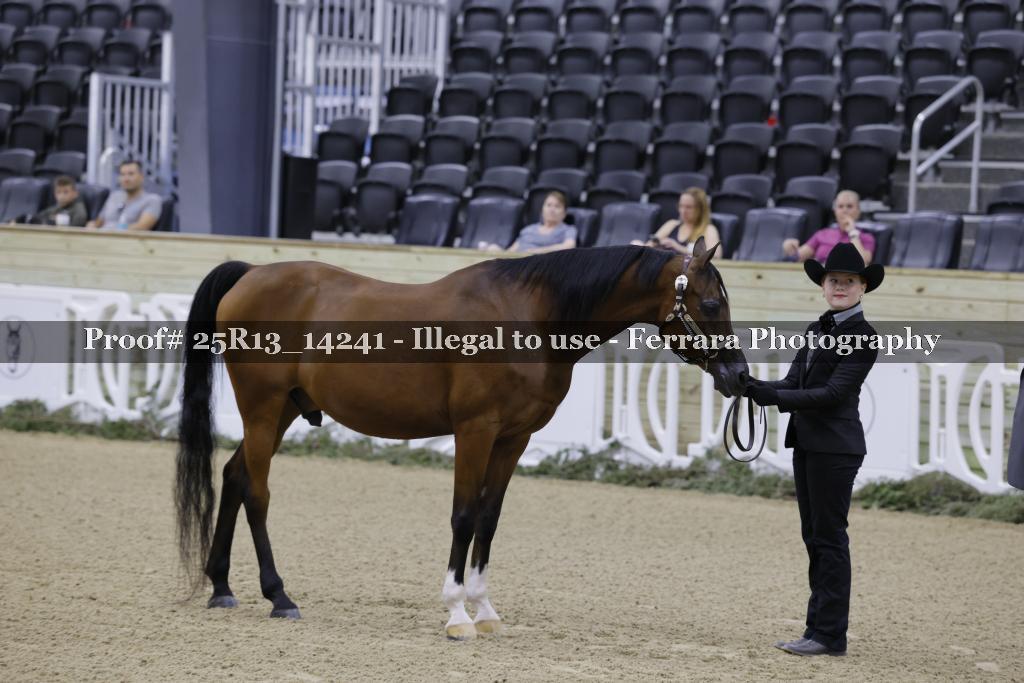 Proof 25R13_14241