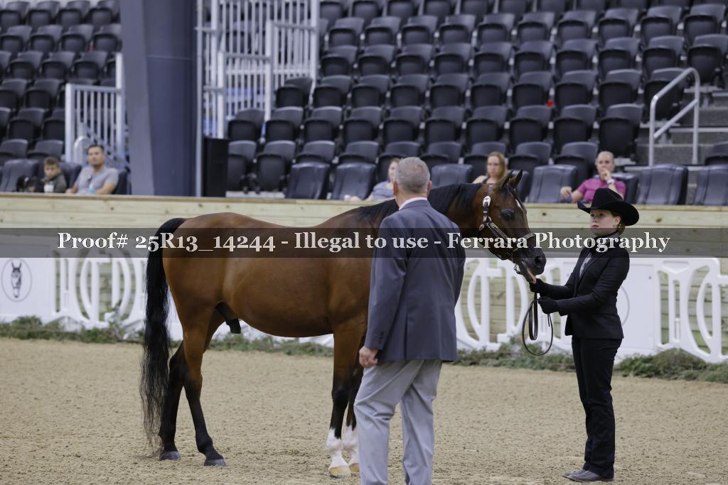 Proof 25R13_14244