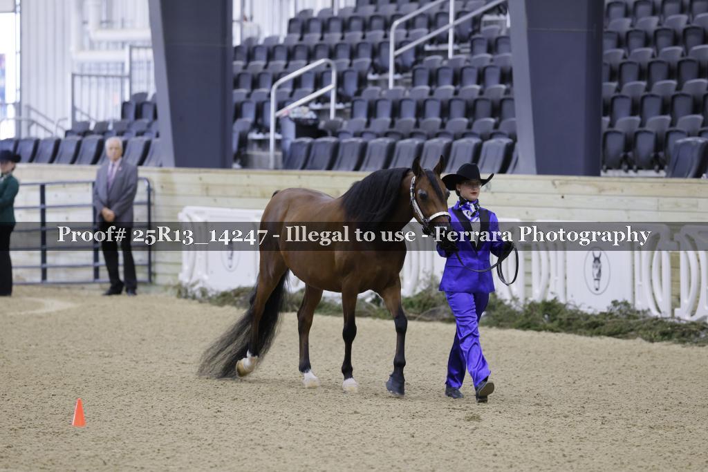 Proof 25R13_14247