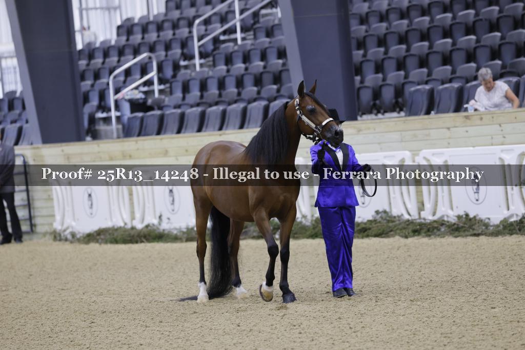 Proof 25R13_14248