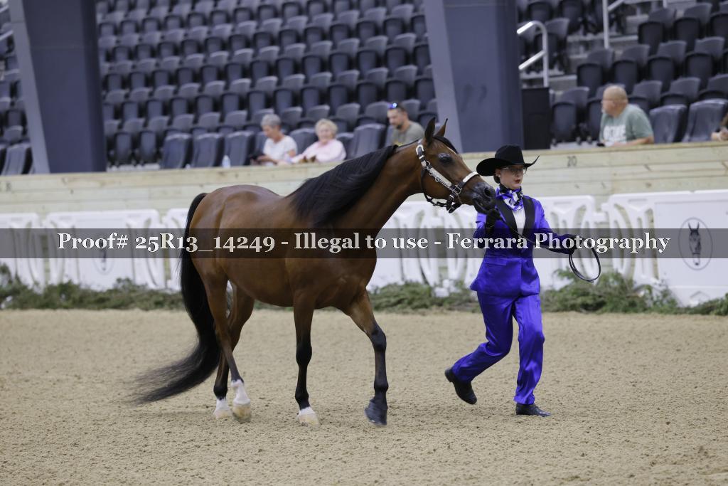 Proof 25R13_14249