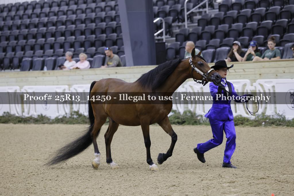 Proof 25R13_14250
