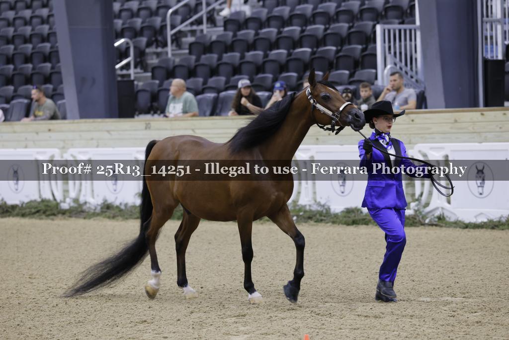 Proof 25R13_14251
