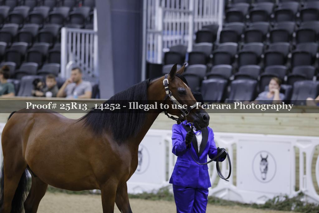 Proof 25R13_14252