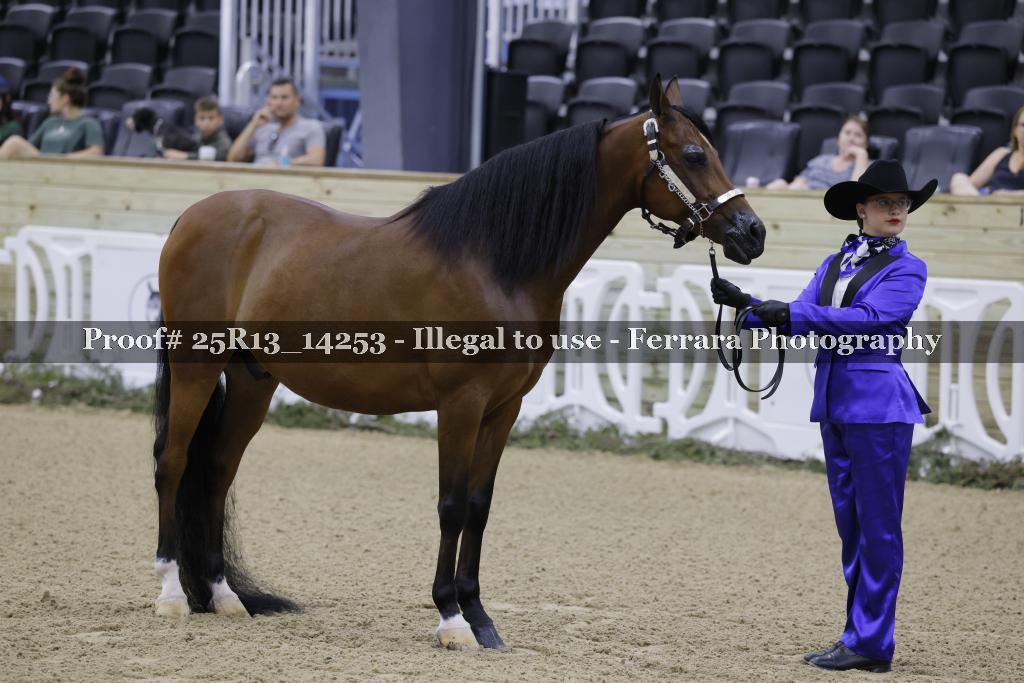 Proof 25R13_14253