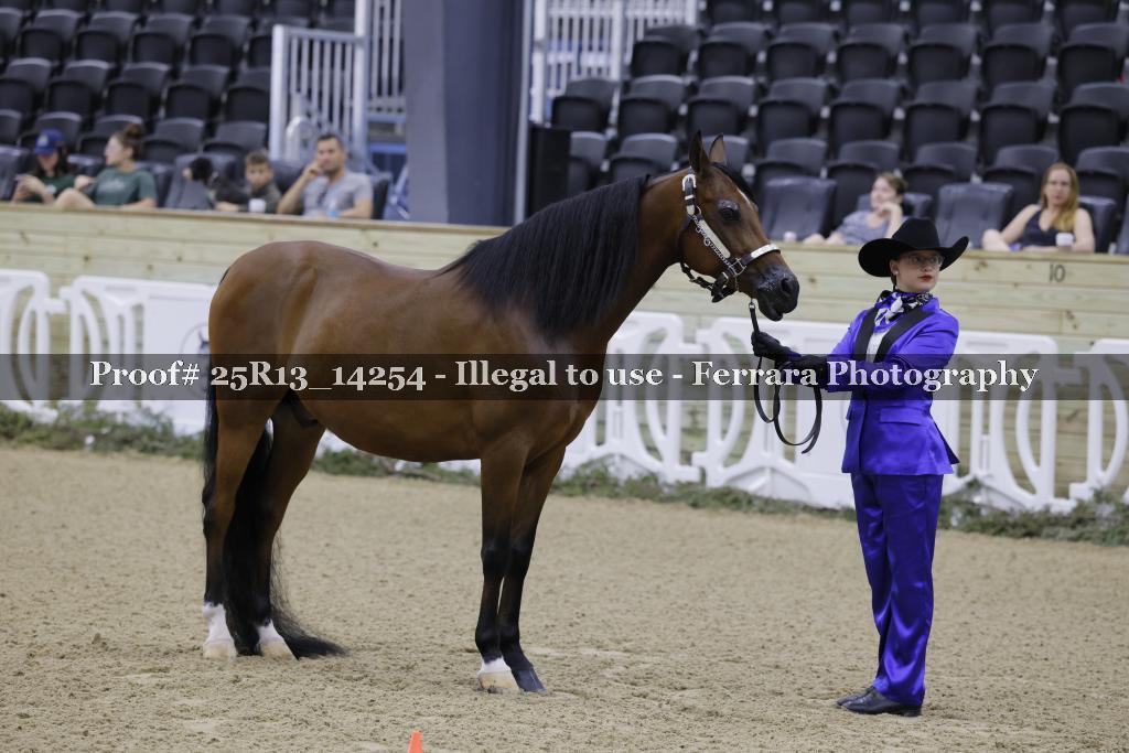 Proof 25R13_14254