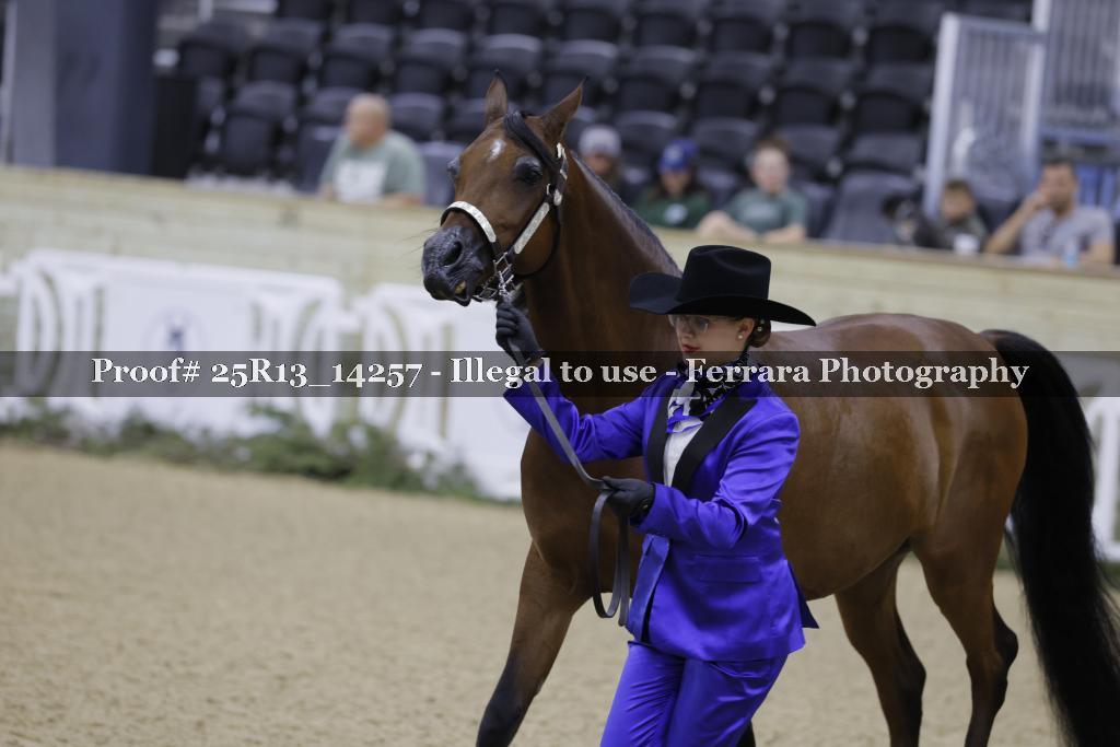Proof 25R13_14257