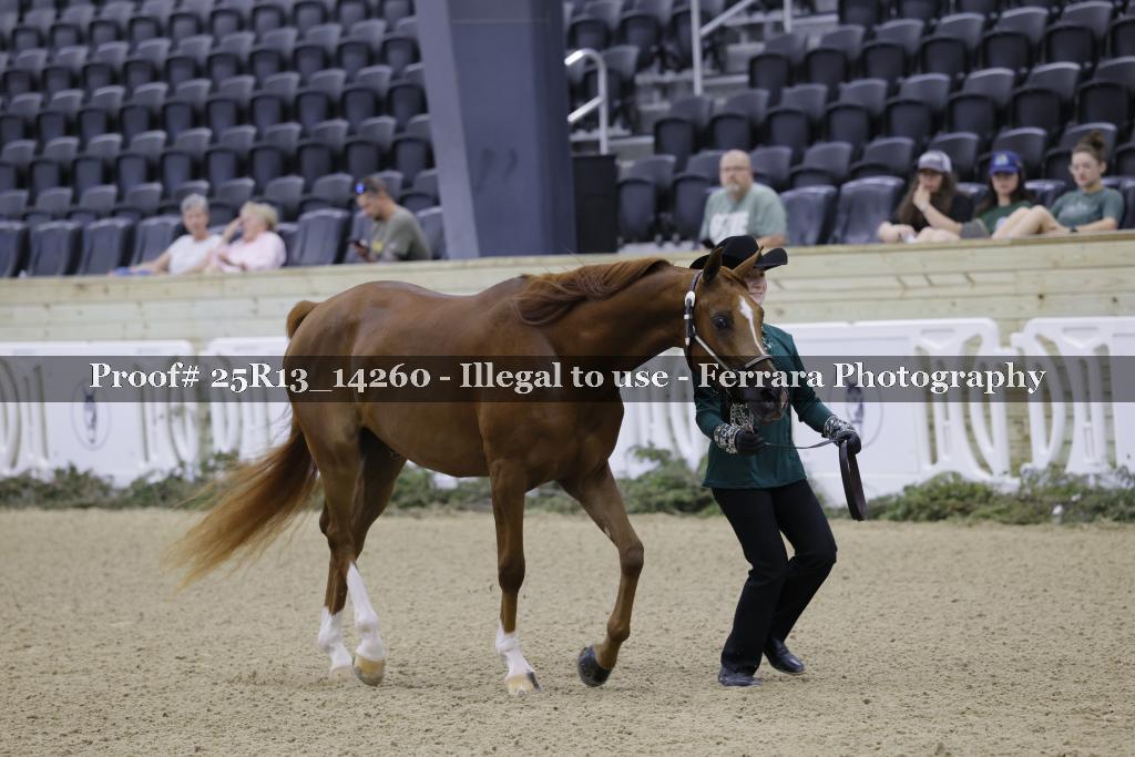 Proof 25R13_14260