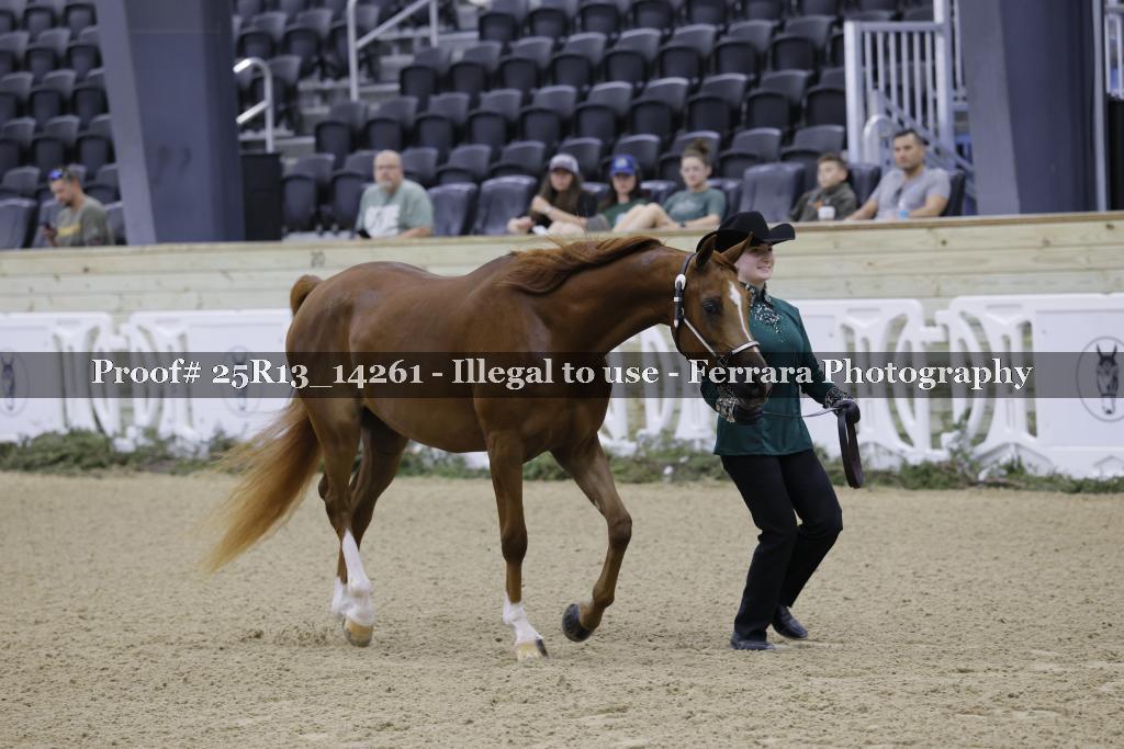 Proof 25R13_14261