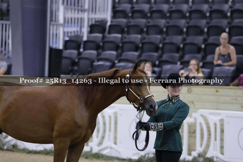 Proof 25R13_14263
