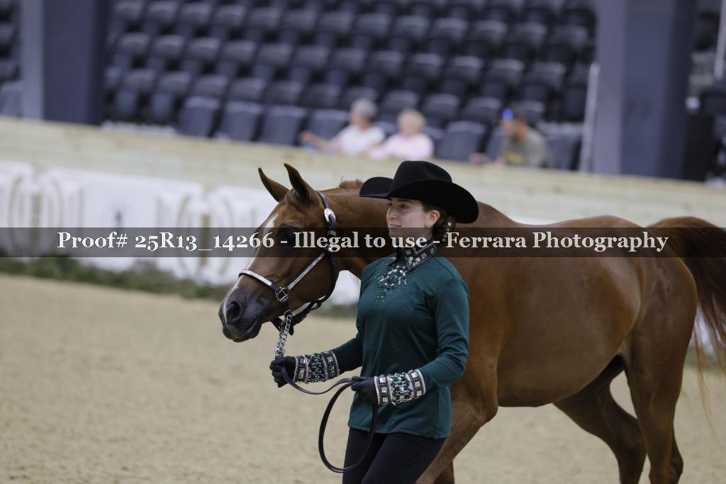 Proof 25R13_14266