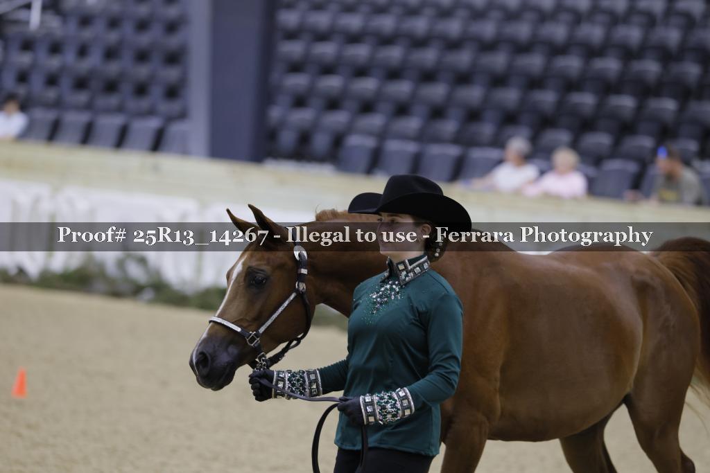 Proof 25R13_14267
