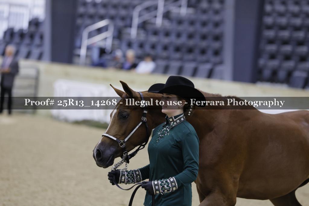 Proof 25R13_14268