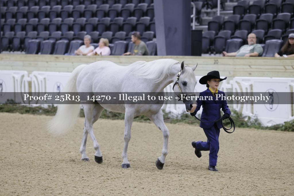 Proof 25R13_14270