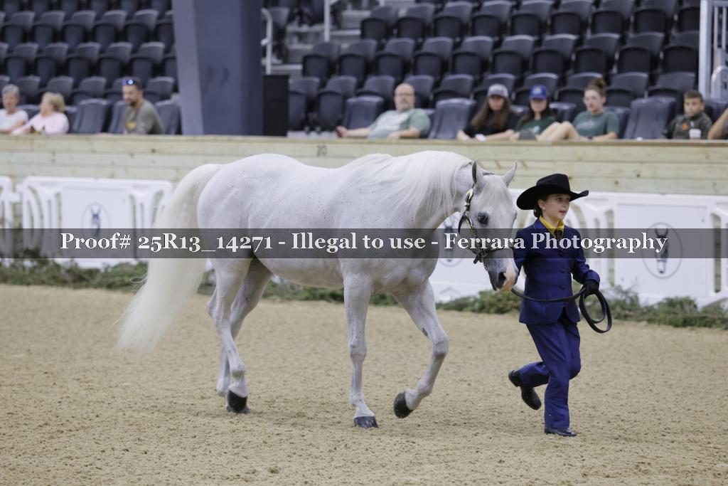 Proof 25R13_14271