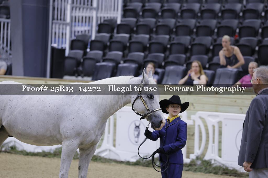 Proof 25R13_14272