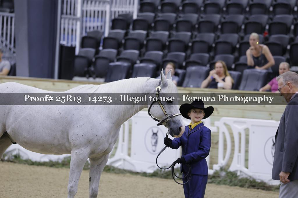 Proof 25R13_14273