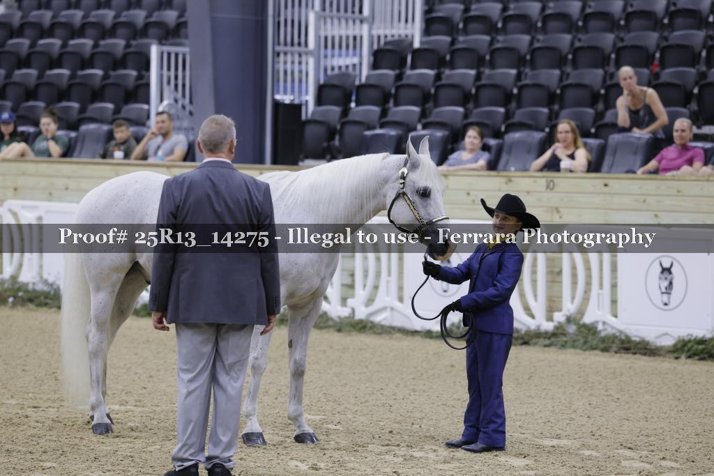 Proof 25R13_14275