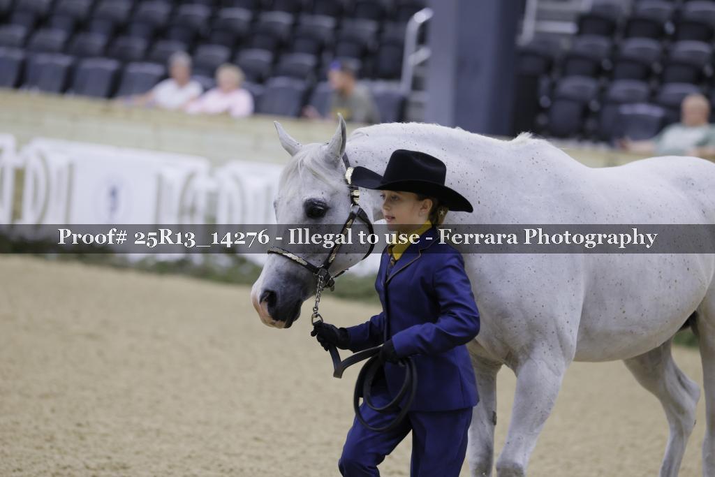 Proof 25R13_14276