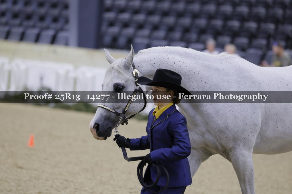 Proof 25R13_14277