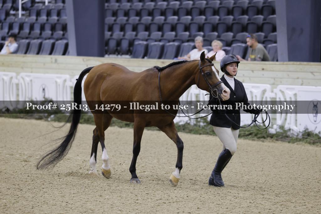 Proof 25R13_14279