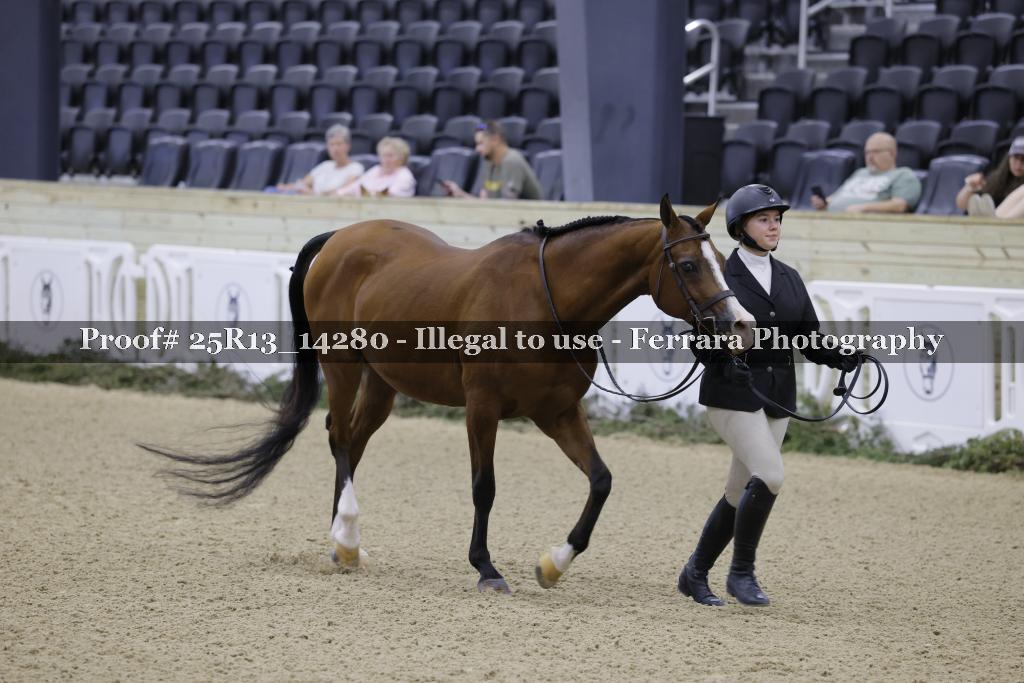 Proof 25R13_14280