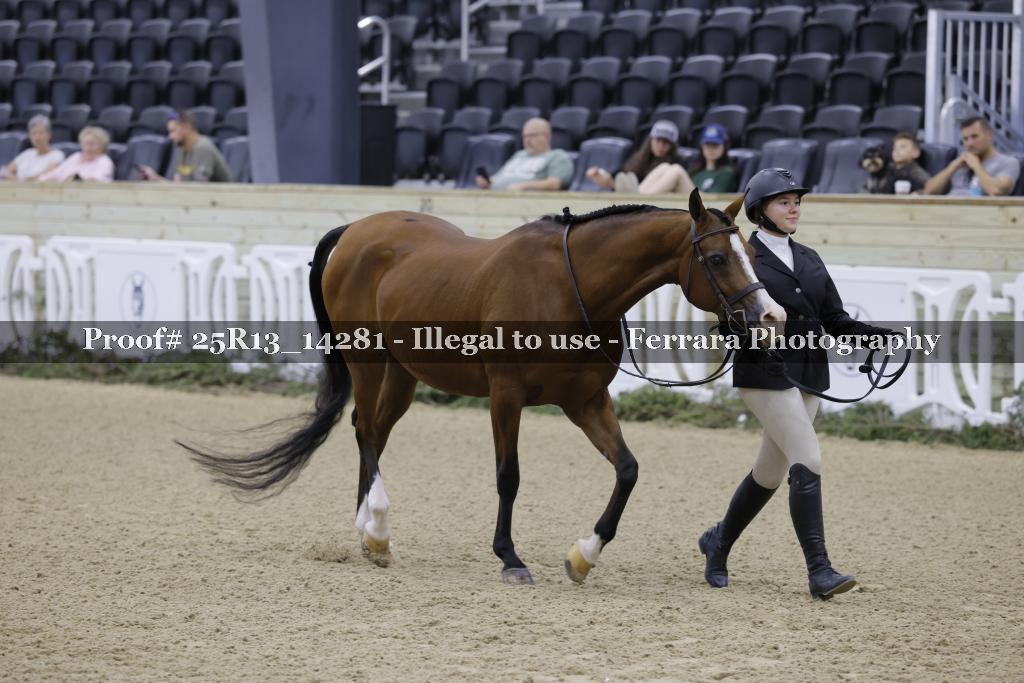 Proof 25R13_14281