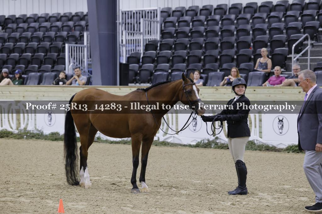 Proof 25R13_14283
