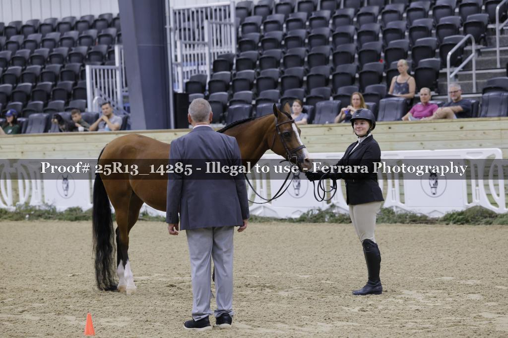 Proof 25R13_14285