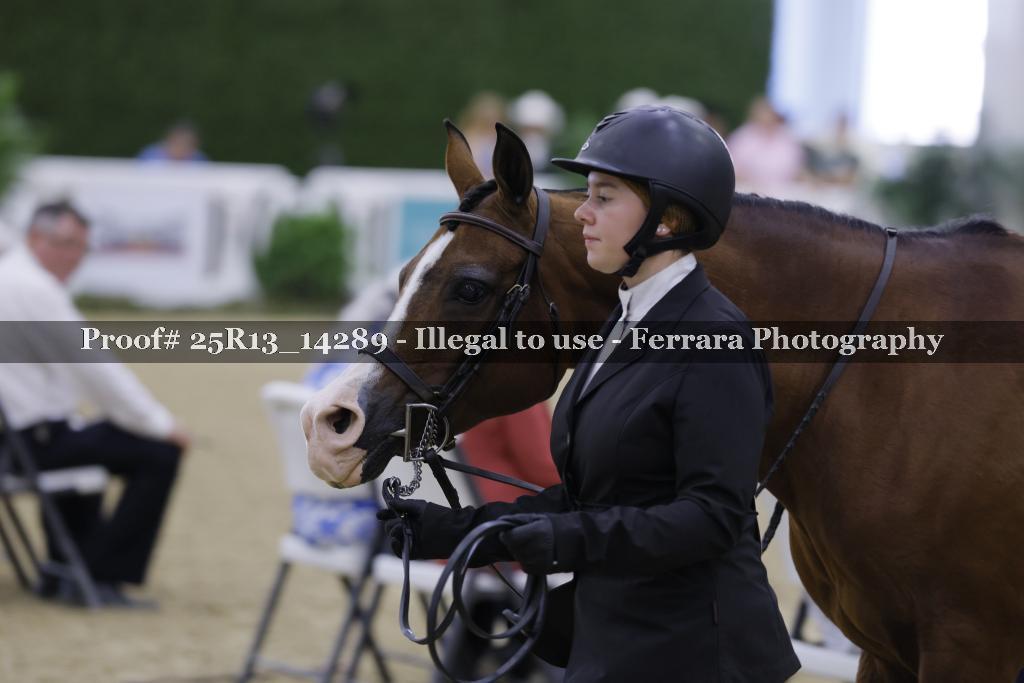 Proof 25R13_14289