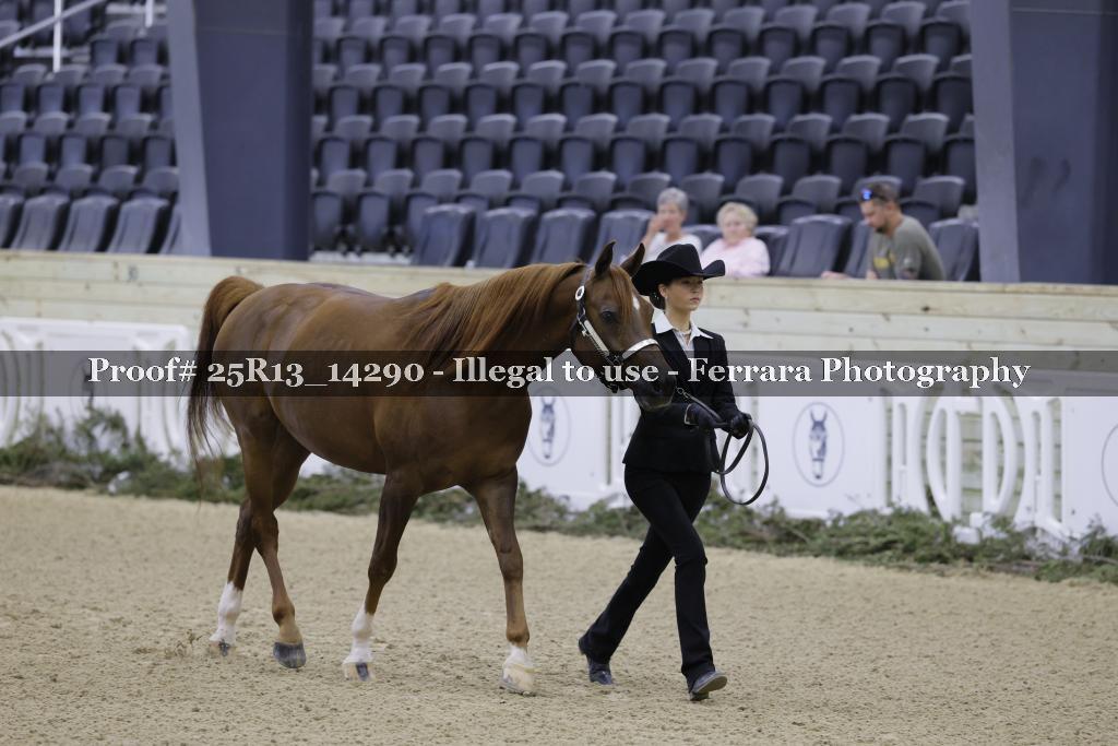 Proof 25R13_14290