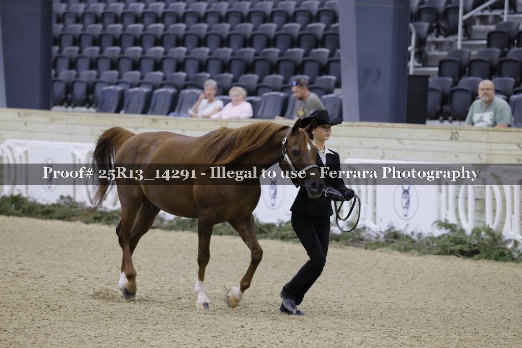 Proof 25R13_14291