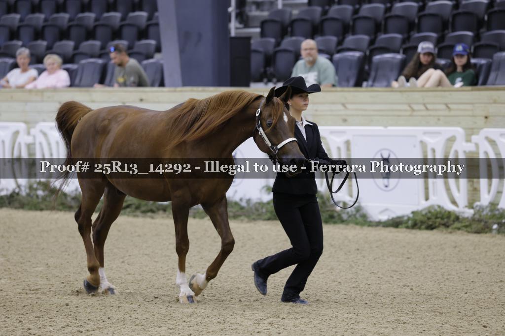 Proof 25R13_14292