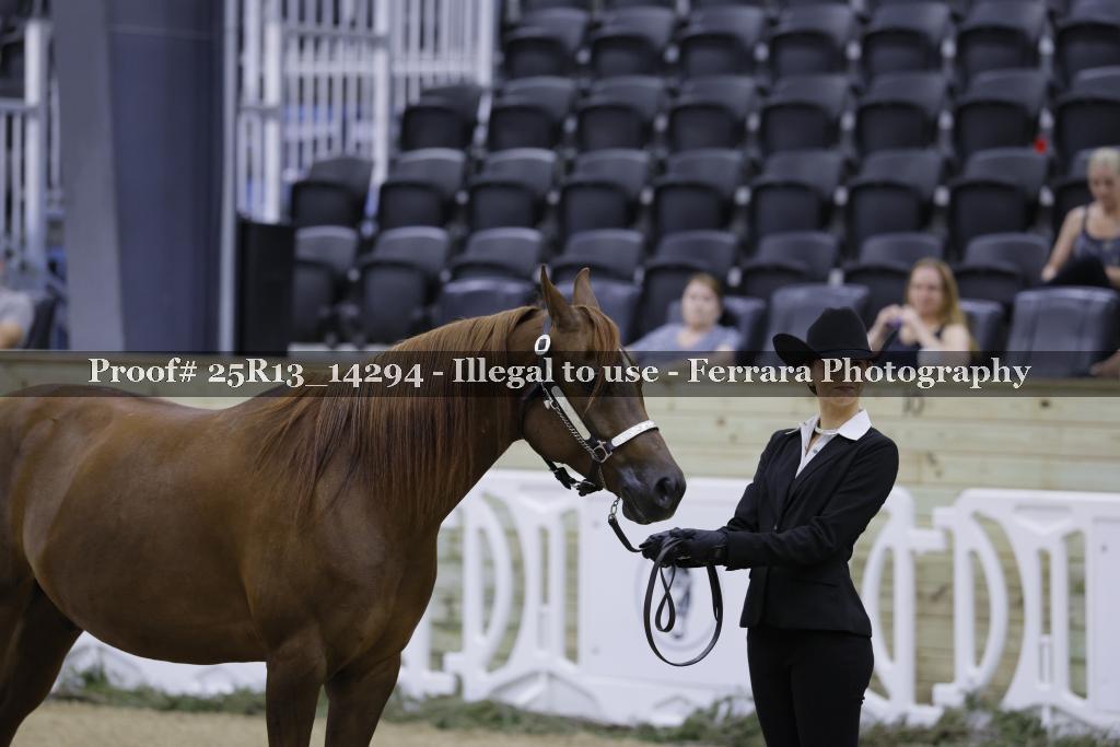 Proof 25R13_14294