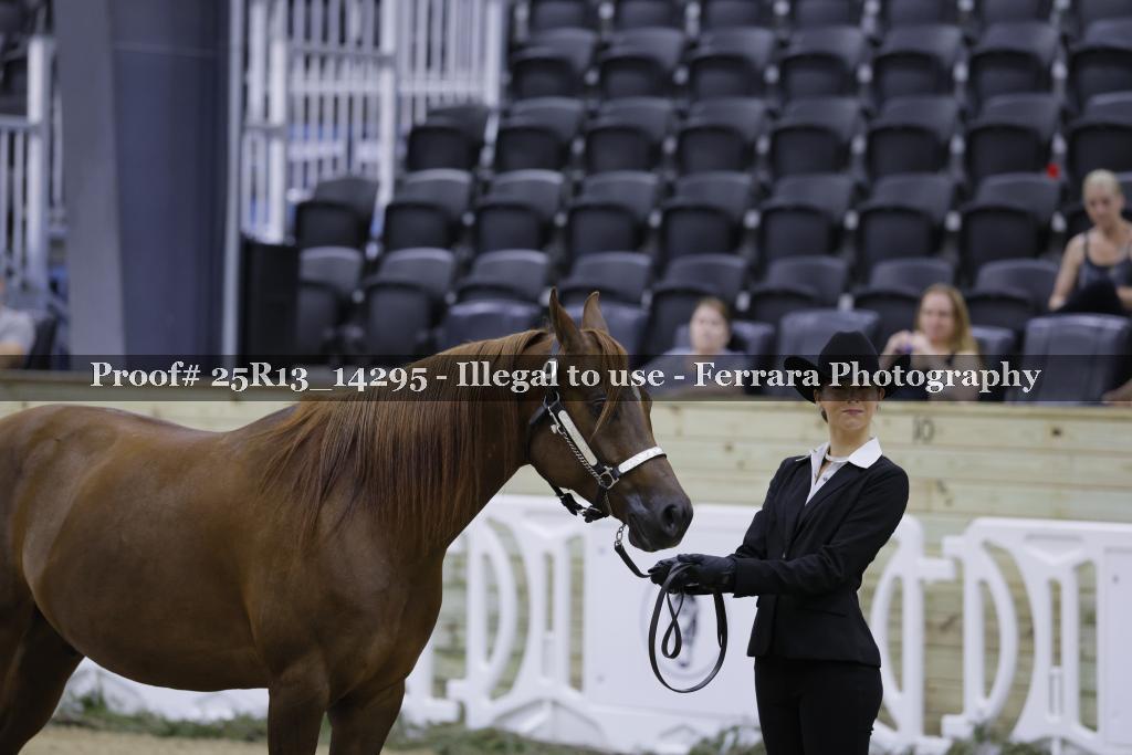 Proof 25R13_14295