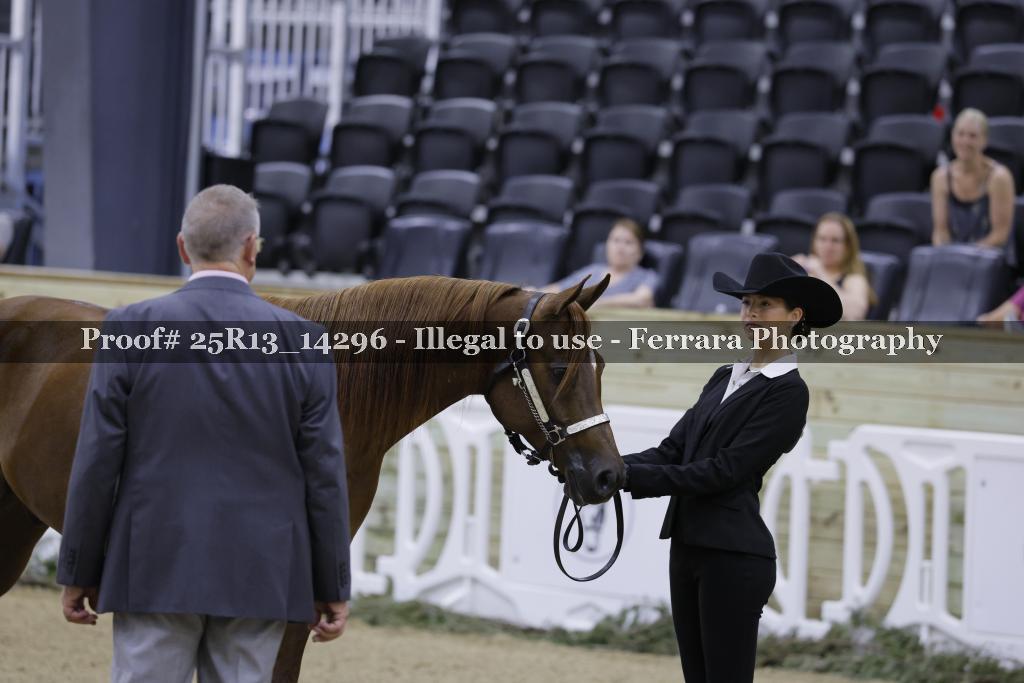Proof 25R13_14296