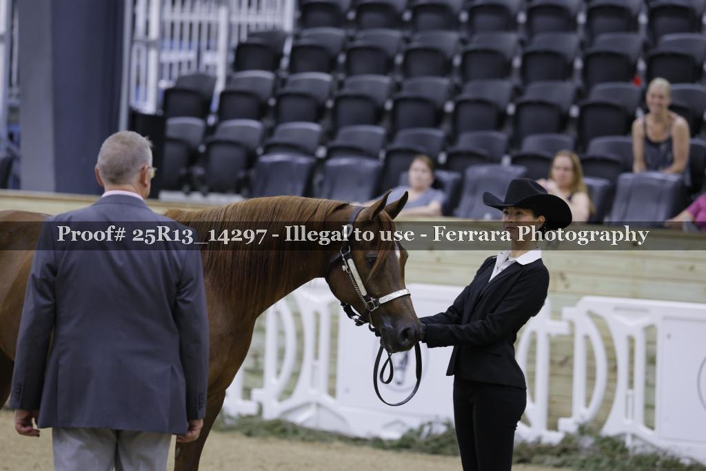 Proof 25R13_14297