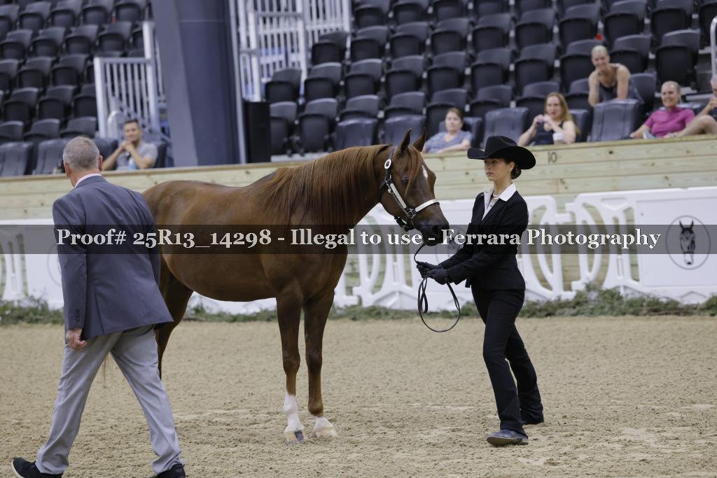 Proof 25R13_14298