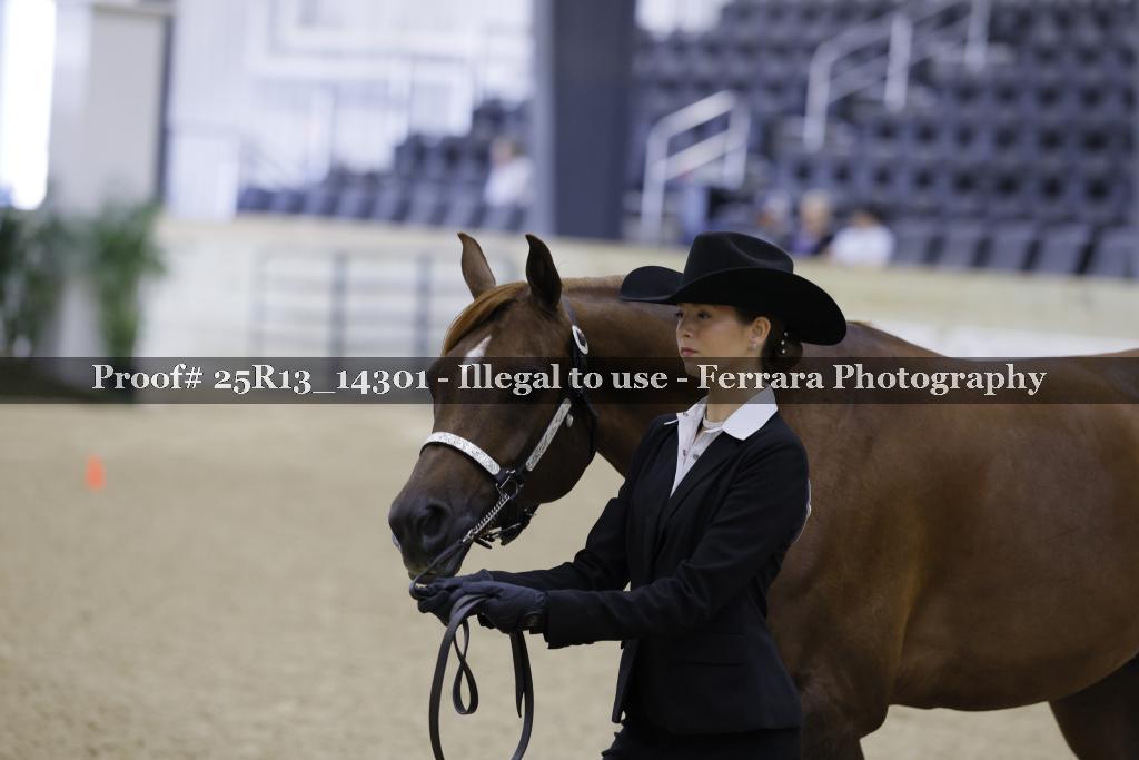 Proof 25R13_14301