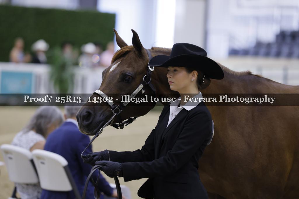 Proof 25R13_14302