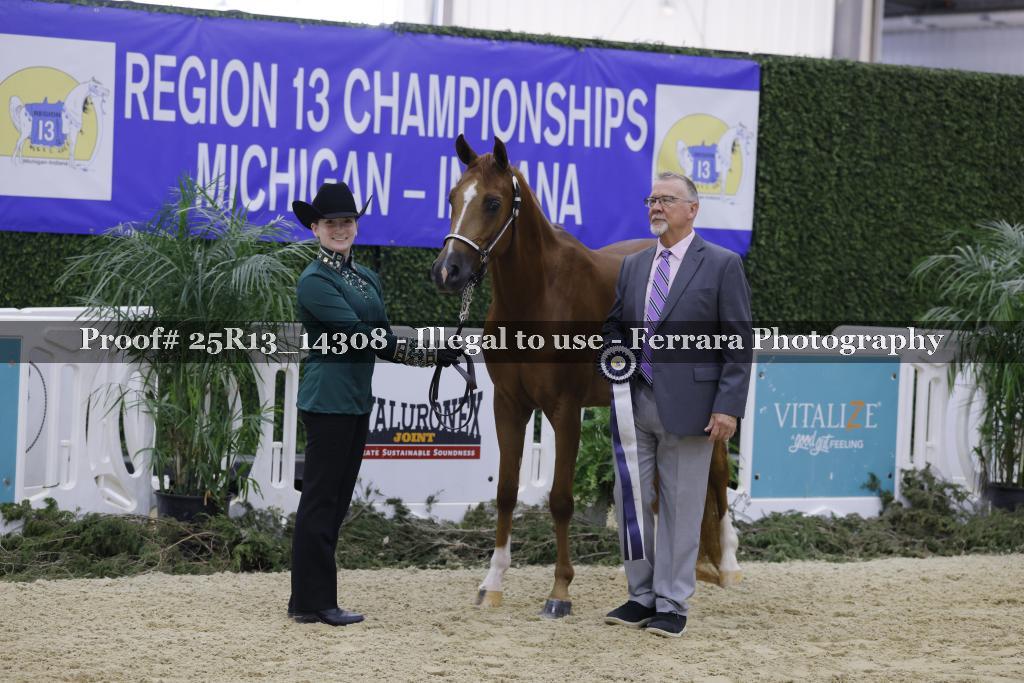 Proof 25R13_14308