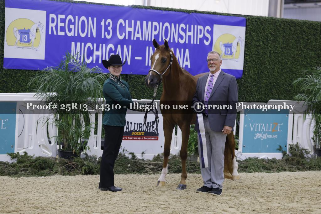 Proof 25R13_14310