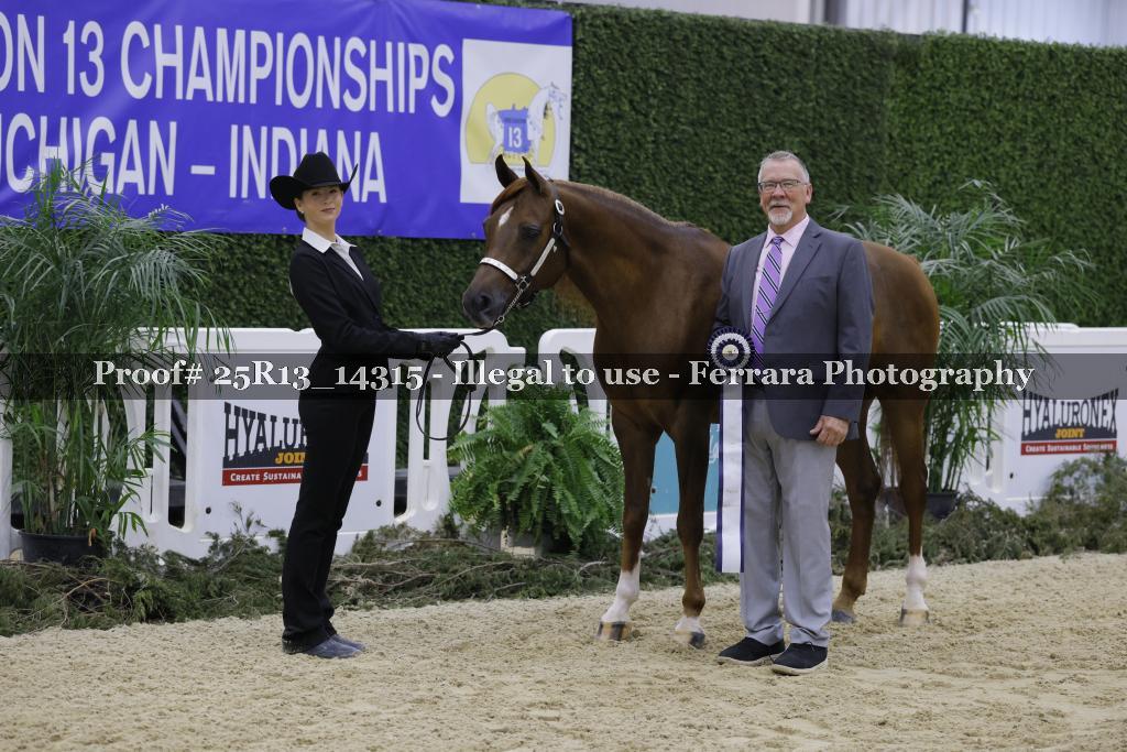 Proof 25R13_14315