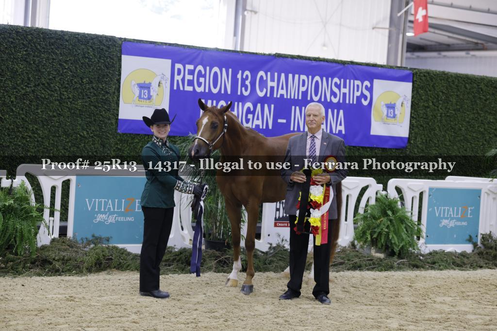 Proof 25R13_14317