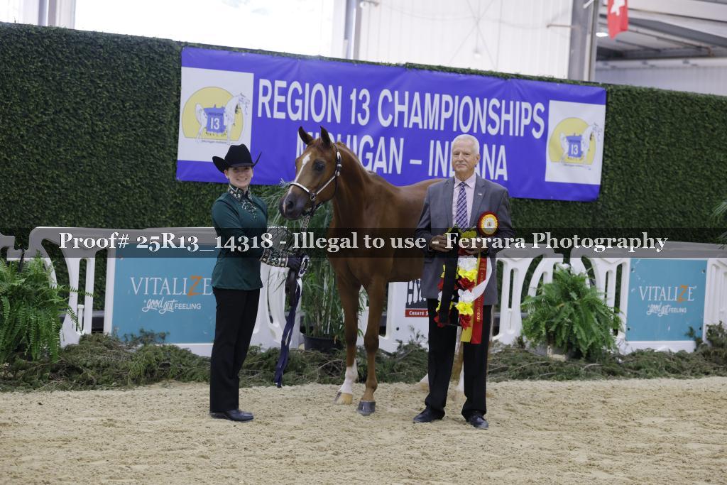 Proof 25R13_14318