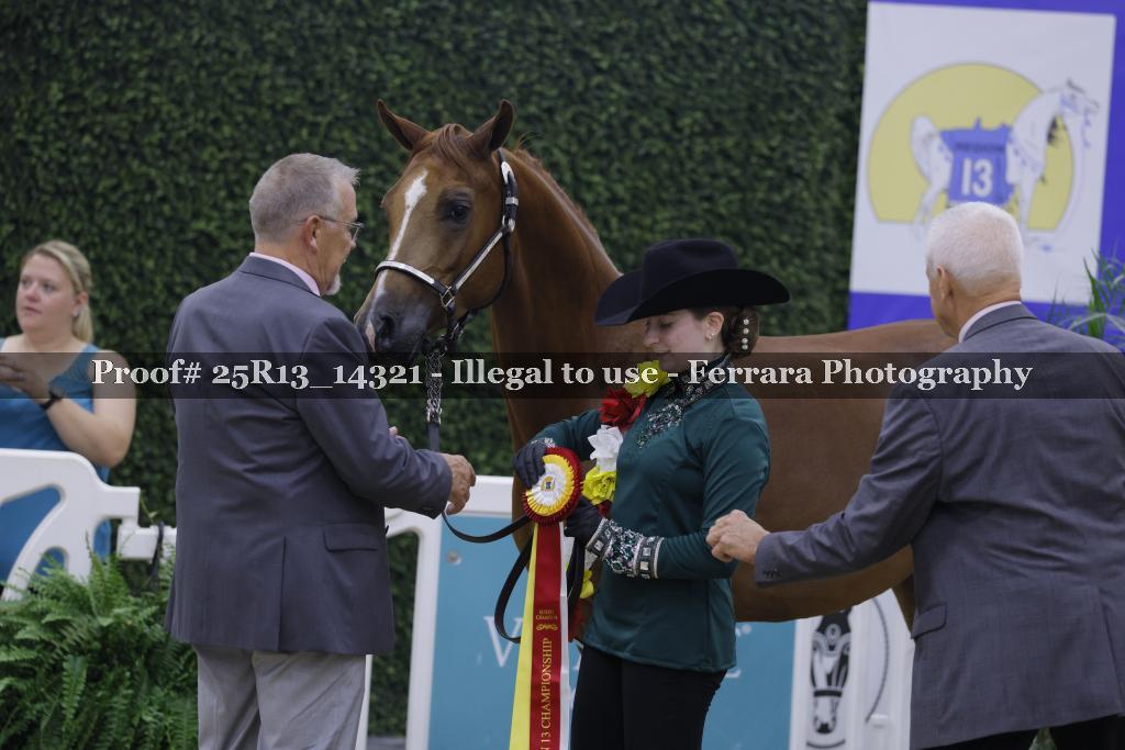 Proof 25R13_14321